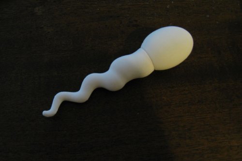 awesome-usb-sperm