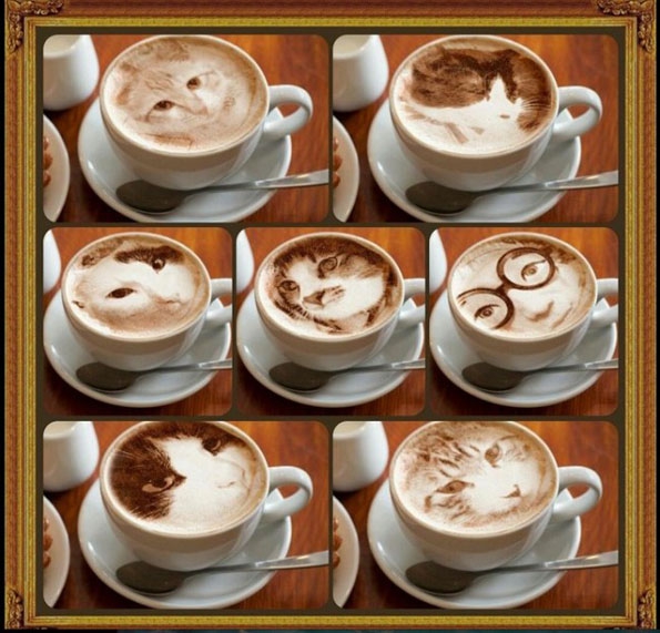 cat-latte-art-4