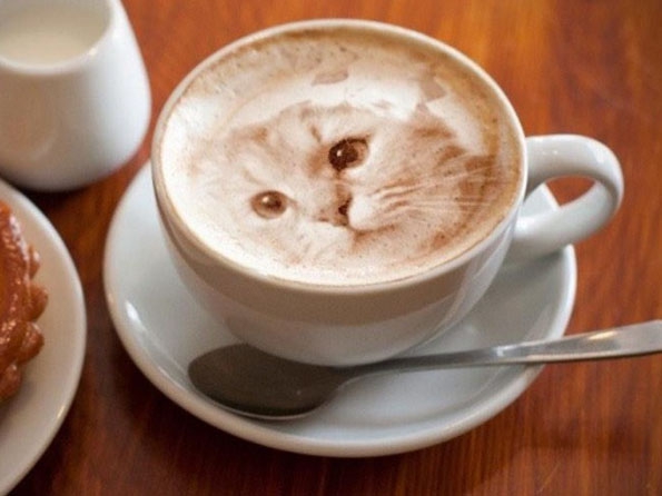 cat-latte-art-2