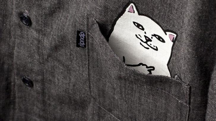 Pocket Cat เสื้อลายแมวสุดชิค สำหรับคนที่ชอบกวนทีน