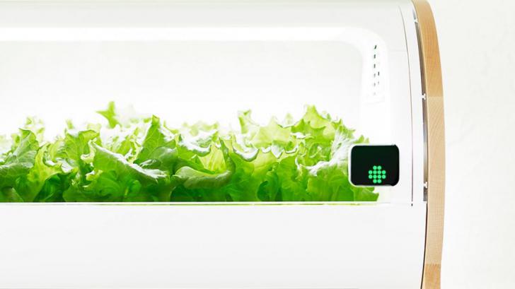 Foop เครื่องปลูกพืชอัตโนมัติ ที่ทำให้เราปลูกผักไว้ทานเองในห้องครัวได้อย่างง่ายๆ