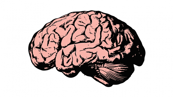 ข่าวไอที อยากลืมก็ลบซะ นักวิจัยสร้างอุปกรณ์แฮคสมอง ที่สามารถแก้ไขความรู้สึกและความทรงจำได้