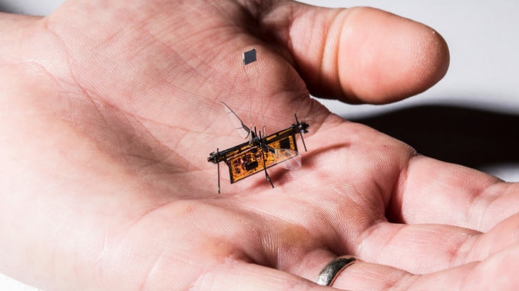 นวัตกรรมใหม่ RoboFly หุ่นยนต์ขนาดเท่าแมลง บินได้แบบไร้สาย ใช้งานในที่โดรนเข้าไม่ถึง