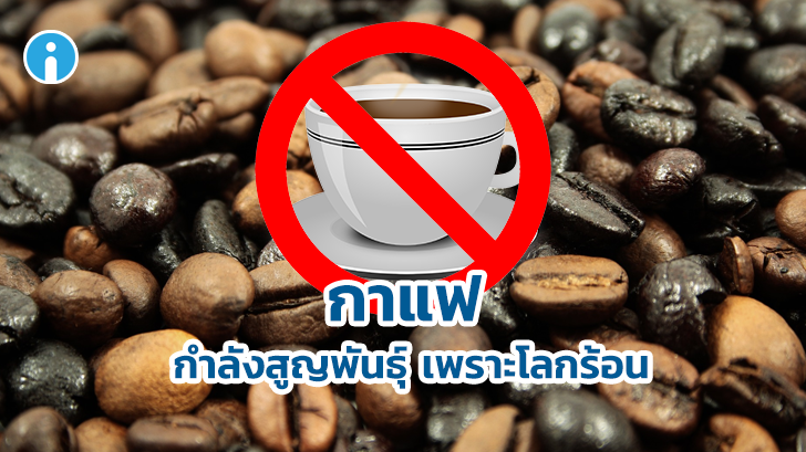 ไม่รู้ว่าเมื่อไหร่กาแฟแก้วสุดท้ายจะมาถึง เมื่อนักวิจัยยืนยันว่ากาแฟใกล้จะสูญพันธุ์จากโลก
