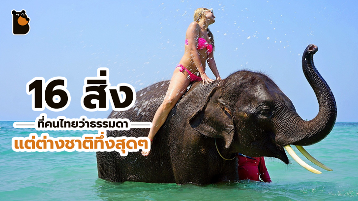 16 สิ่งที่คนไทยมองว่าธรรมดา แต่ต่างชาติทึ่งสุดๆ อาทิ ชาเย็นใส่ถุง ชายหาดที่เต็มไปด้วยลิง