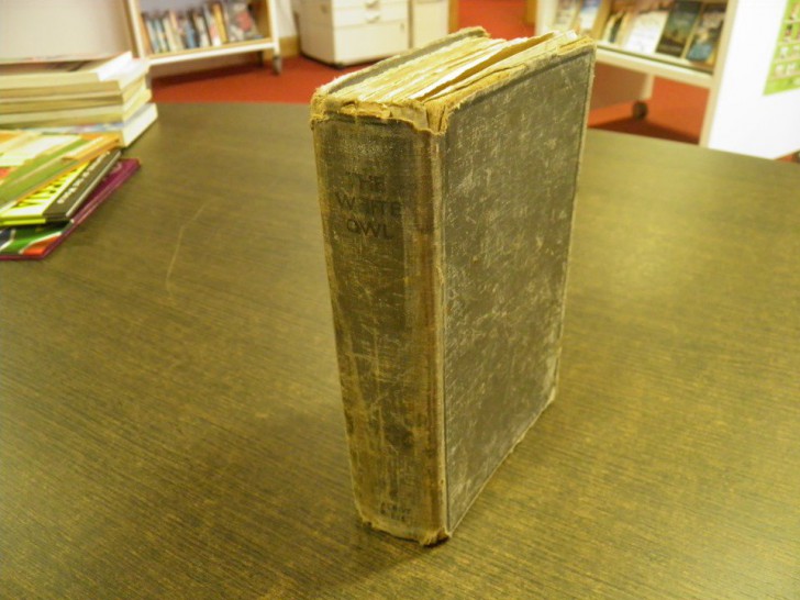 ตำนานบทใหม่ ยืมหนังสือนานถึง 82 ปี ของห้องสมุดในไอร์แลนด์