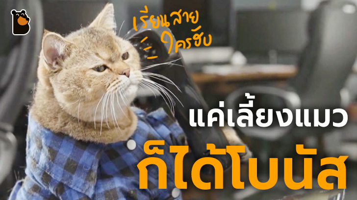 บริษัทไอทีในญี่ปุ่นให้เงินโบนัสเป็นพิเศษทุกเดือน หากว่าพนักงานเลี้ยงแมว