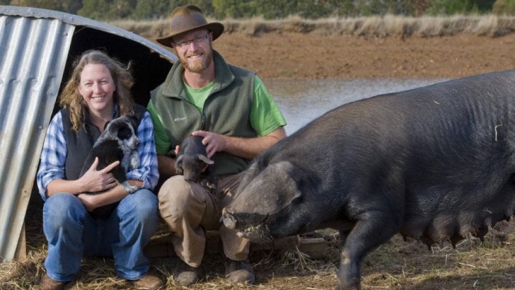 Tammi Jonas เจ้าของฟาร์มหมูที่เปลี่ยนตัวเองจากการรับประทานมังสวิรัติมาเป็นคนขายเนื้อสัตว์