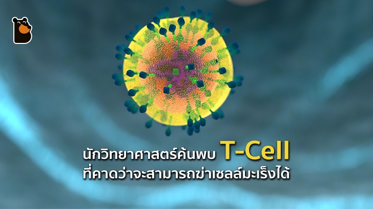นักวิทยาศาสตร์ค้นพบ T-Cell ตัวใหม่ในระบบภูมิคุ้มกันที่คาดว่าจะสามารถฆ่าเซลล์มะเร็งได้