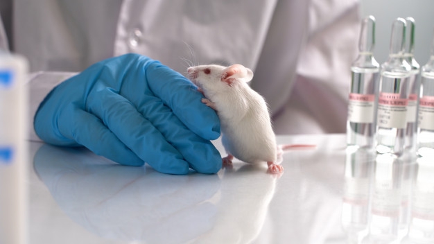FDA เปิดโอกาสให้ผู้ที่สนใจสามารถรับเลี้ยงสัตว์ที่ผ่านการทดลองได้