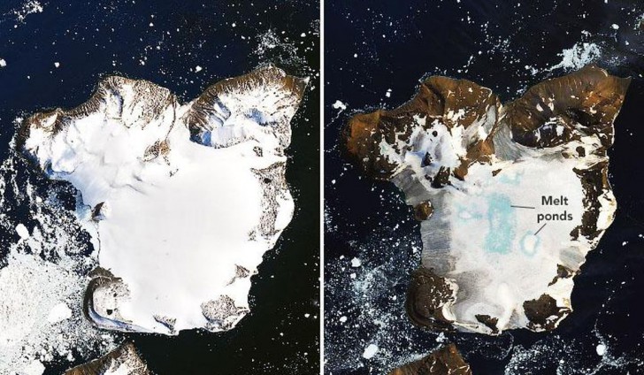 นักวิจัยค้นพบเกาะแห่งใหม่ในทวีป Antarctic จากการละลายของธารน้ำแข็ง