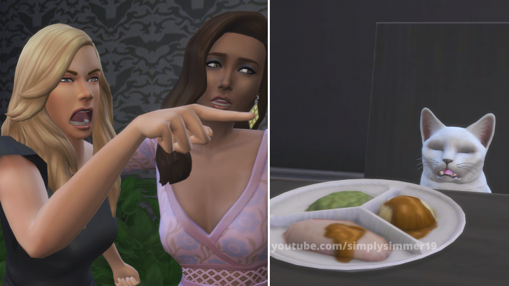 ครีเอทสุด! เมื่อชาวเน็ตปลื้มมีม 'หญิงผมทองตะโกนใส่แมว' จนเอาไปทำเป็นมีมในเกม The Sims 4 ต่ออีกทอด