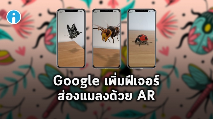 ส่องแมลงแบบ 3 มิติด้วยเทคโนโลยี AR ผ่าน Google Search