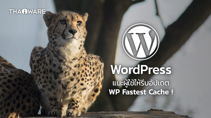 WordPress แนะนำให้ผู้ใช้รีบอัปเดต WP Fastest Cache หลังตรวจพบช่องโหว่ภายในระบบ !