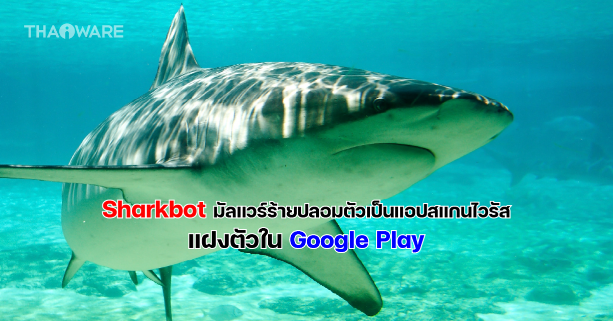 พบมัลแวร์ Sharkbot ระบาดบน Google Play