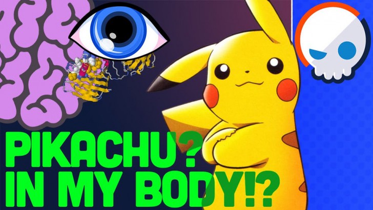 Pokémon Detective Pikachu | 10 เรื่องน่ารู้ของ Pikachu ผู้น่ารัก