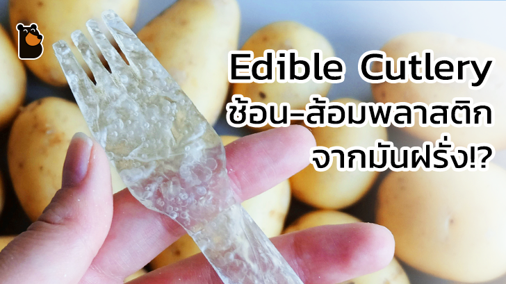 Potato Plastic ช้อน-ส้อมพลาสติกจากมันฝรั่งที่สามารถรับประทานได้!?