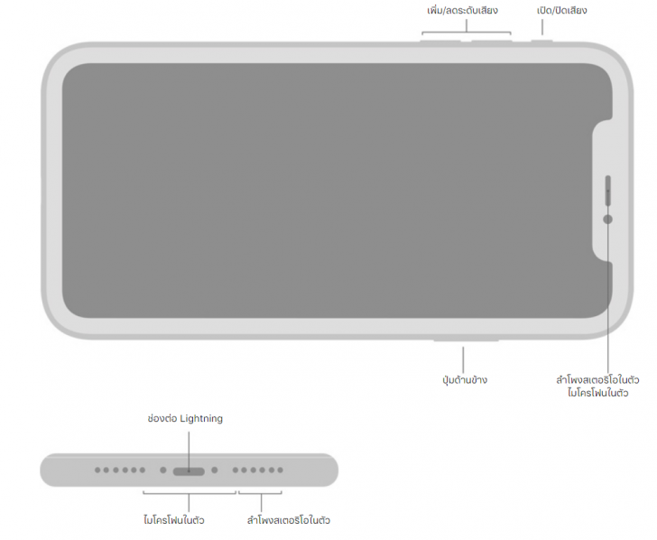 iPhone SE รุ่นที่ 2 กับ iPhone 11 รุ่นไหนน่าซื้อกว่ากัน เปรียบเทียบสเปกกันชัดๆ ?