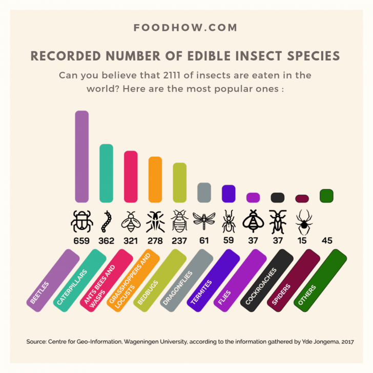 กินแมลงเป็นอาหาร ? แมลงอาหารยุคใหม่ แหล่งโปรตีนแห่งโลกอนาคต (อันใกล้)