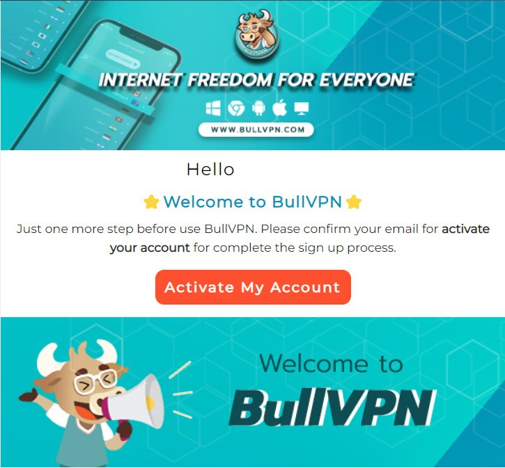 เริ่มต้นใช้งานบริการ BullVPN