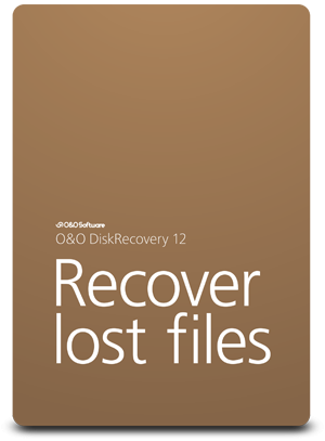 DiskRecovery Professional 