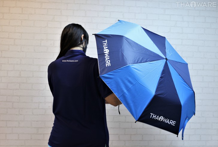 Thaiware Umbrella Limited Edition