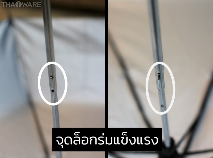 Thaiware 3 Fold Umbrella Limited Edition