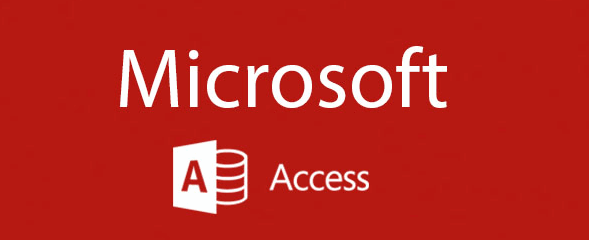 Microsoft Access 2019 Government License