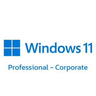 Windows 11 Professional - Corporate (สำหรับองค์กรธุรกิจ)