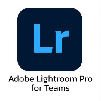 Adobe Lightroom Pro for Teams โปรแกรมตกแต่งแก้ไขรูปถ่าย สำหรับตากล้องมืออาชีพ ใช้งานได้บนทุกอุปกรณ์ เดสก์ทอป อุปกรณ์พกพา เว็บแอปพลิเคชัน รุ่นโปร มี Adobe Stock