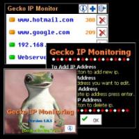 Gecko IP Monitoring