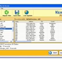 Kernel Access - Corrupt Database Repair