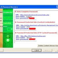 Atomic IE Password Recovery