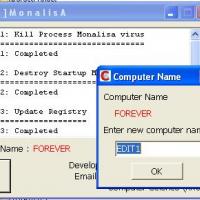 โปรแกรมสแกนไวรัส กำจัดไวรัส โมนาลิซา (Anti-Virus MonalisA (MSN85))