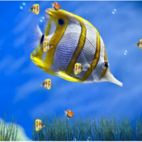 Marine Life Aquarium Animated Wallpaper (วอลล์เปเปอร์ ภาพเคลื่อนไหว พิพิธภัณฑ์สัตว์น้ำมีชีวิต)