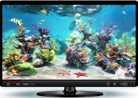 Sim Aquarium Free Edition (โปรแกรมสกรีนเซฟเวอร์ 3 มิติ ใต้น้ำสุดเจ๋ง) : 