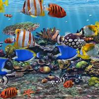 3D Fish School Screensaver (สกรีนเซฟเวอร์ โลกใต้น้ำ สามมิติงามๆ)
