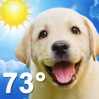 Weather Puppy (App ลูกหมาน้อย รายงานสภาพอากาศ)