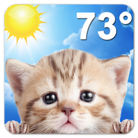 Weather Kitty (App แมวน้อย พยากรณ์อากาศประจําวัน)