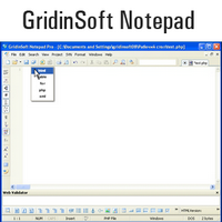 GridinSoft Notepad : 