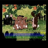 Cute Video Watermark Free (โปรแกรมใส่ลายน้ำในวิดีโอ)
