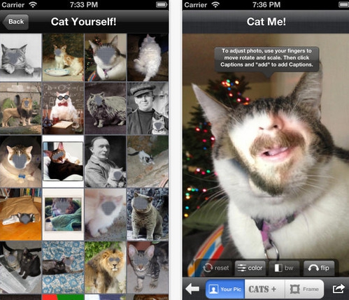 Cat Me (App ทำหน้าแมว พร้อม สติ๊กเกอร์แมว น่ารัก) : 