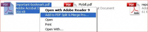 Awinware PDF Split and Merge Pro : 