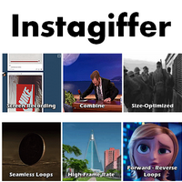 Instagiffer (โปรแกรมแปลงคลิปวิดีโอ เป็นไฟล์ GIF เคลื่อนไหว) : 