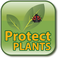 ProtectPlants (App ข้อมูลพืช โรคพืช เพื่อเกษตรกร ทุกคน ฟรี)