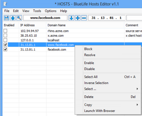BlueLife Hosts Editor (โปรแกรม บล็อคการเข้าเว็บไซต์) : 