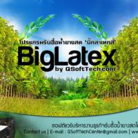 BigLatex (โปรแกรม BigLatex รับซื้อน้ำยางพาราสด ยางแผ่น เศษยาง )