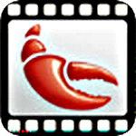 VideoLobster (โปรแกรม VideoLobster แปลงไฟล์วิดีโอ หลายชนิด) : 
