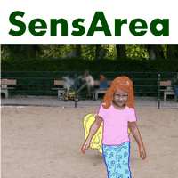 Sensarea (โปรแกรม Sensarea เบลอหน้าคน วัตถุ สิ่งของ ในวิดีโอ) : 