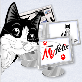 My Felix Cat (เกมส์ My Felix Cat เลี้ยงแมวบนหน้าจอคอมพิวเตอร์) : 
